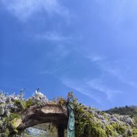 評論圖片 2