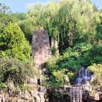 評論圖片 5