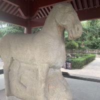 評論圖片 5