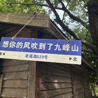 評論圖片 9