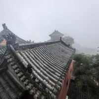 評論圖片 2