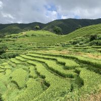 評論圖片 7