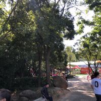 評論圖片 3