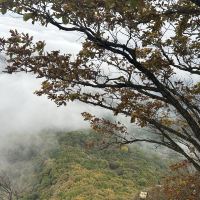 評論圖片 9