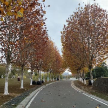 評論圖片 9