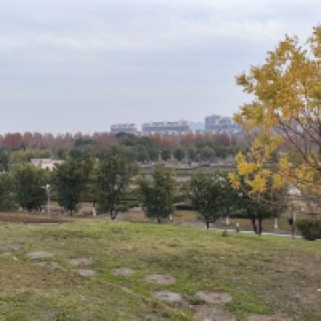 評論圖片 7