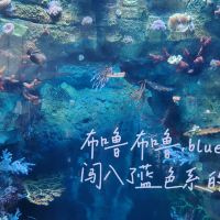 評論圖片 6