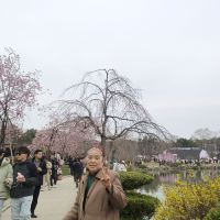 評論圖片 8