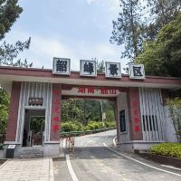評論圖片 1