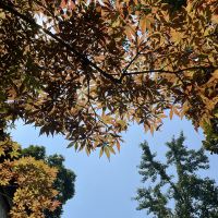 評論圖片 3