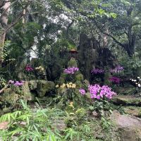 評論圖片 6
