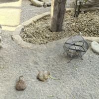 評論圖片 4