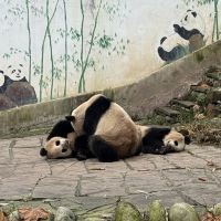 評論圖片 9