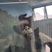 評論圖片 7