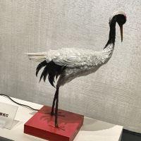 評論圖片 6