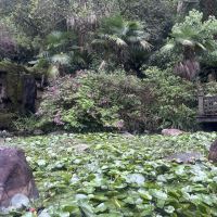 評論圖片 7
