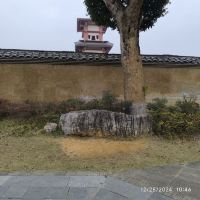 評論圖片 6
