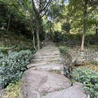 評論圖片 5