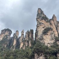 評論圖片 2