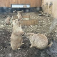 評論圖片 6