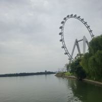 評論圖片 1