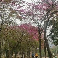 評論圖片 3