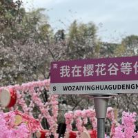 評論圖片 3