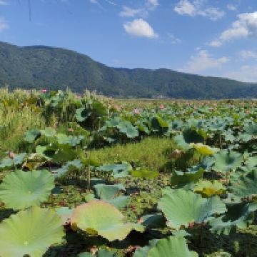 評論圖片 4