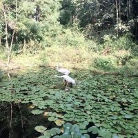 評論圖片 1