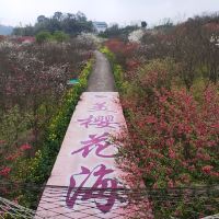 評論圖片 4