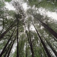 評論圖片 2