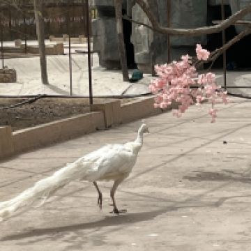 評論圖片 2