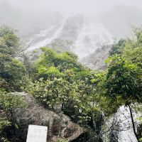 評論圖片 7
