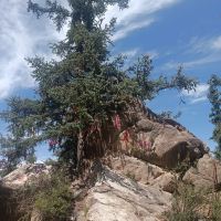 評論圖片 7