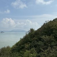 評論圖片 7