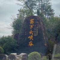 評論圖片 1