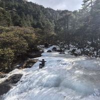 評論圖片 2