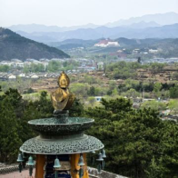 評論圖片 2