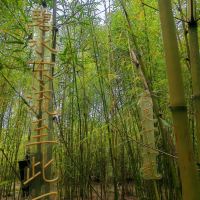 評論圖片 6