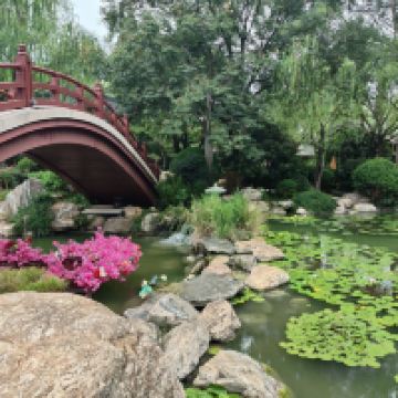 評論圖片 6
