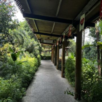 評論圖片 4