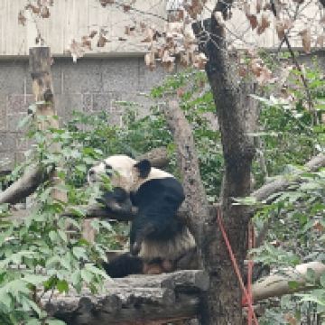 評論圖片 6