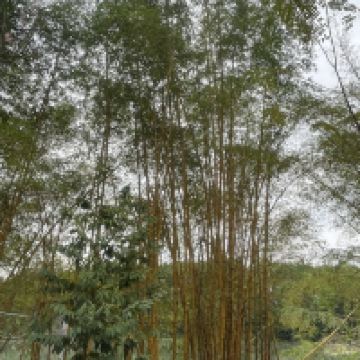 評論圖片 2