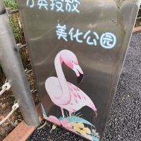 評論圖片 6