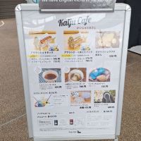 評論圖片 6