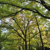 評論圖片 8