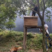 評論圖片 7