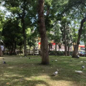 評論圖片 7