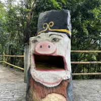 評論圖片 4