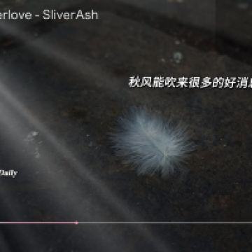 評論圖片 9
